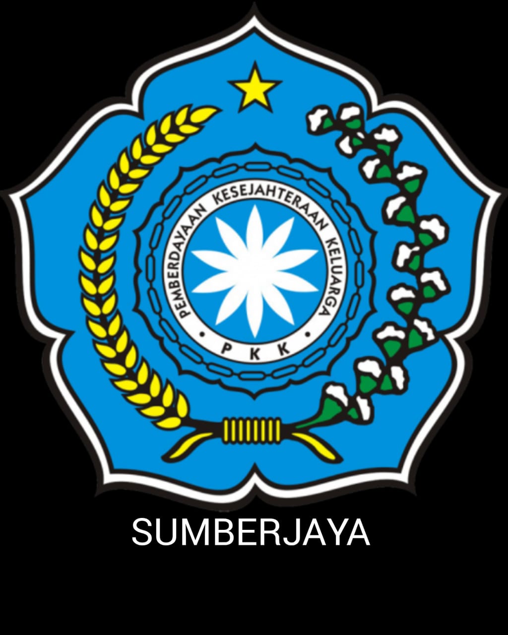 PKK (PEMBEDAYAAN KESEJAHTERAAN KELUARGA)