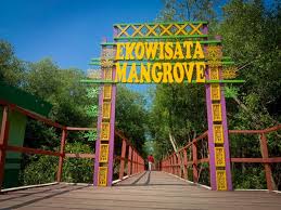Wisata Mangrove